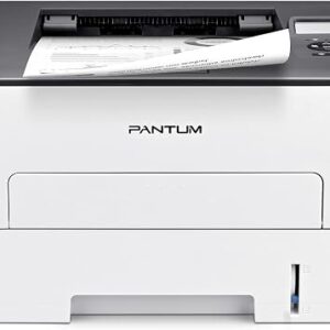 Pantum L2300DW