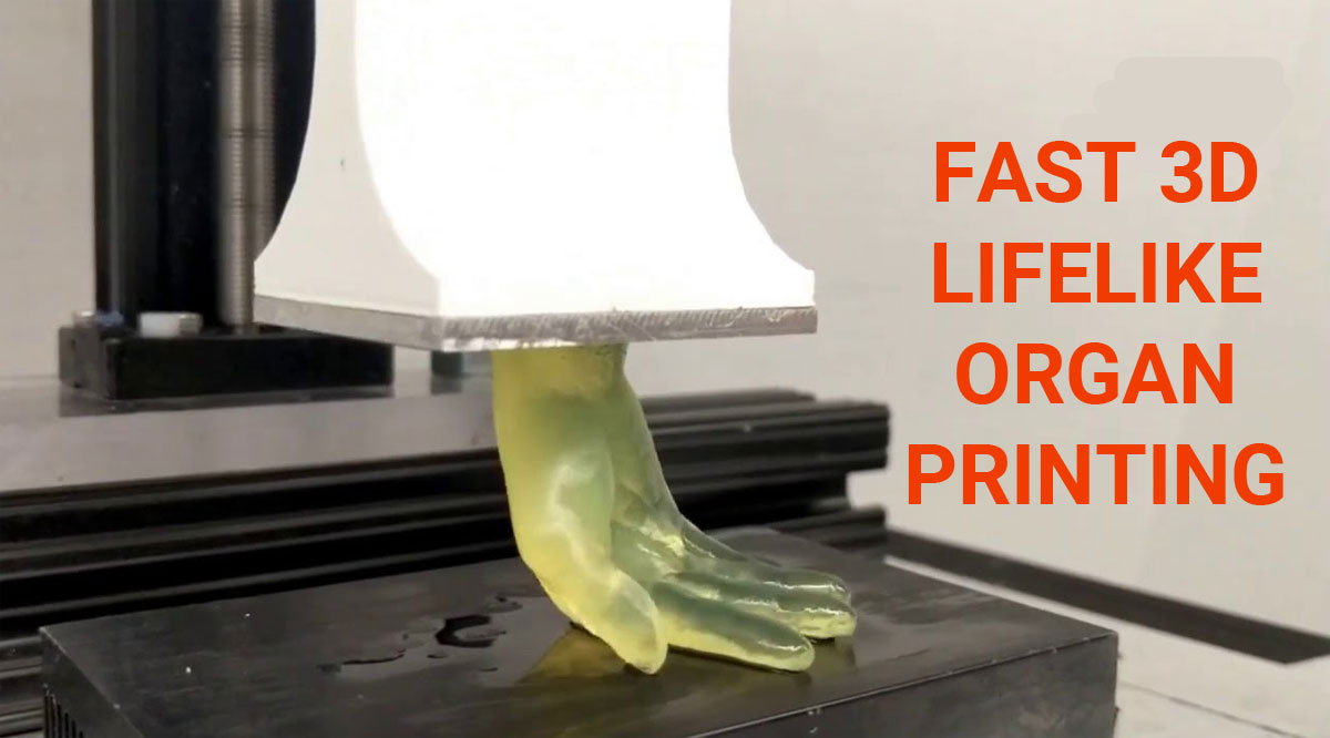 The New Technology for fast 3D Lifelike Organ Printing